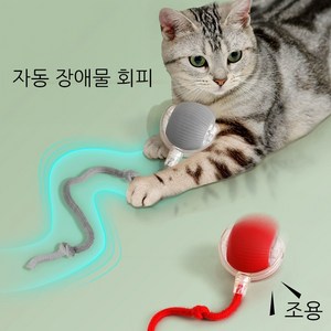 윈티크 고양이 꼬리잡기 스마트볼 공놀이 장난감, 1개, 그레이