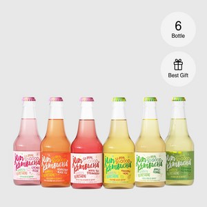 26도라인 준 콤부차 275ml X 6병 세트(모든 맛), 6개, 1개입