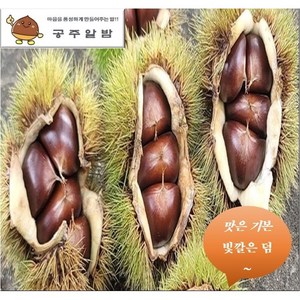 24년햇공주밤 (특/대)사이즈 2kg ~ 8kg, (대) 2kg, 100개