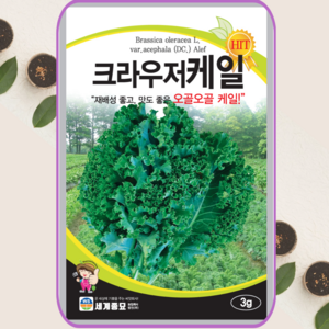 식물세계 크라우저 케일 씨앗 3g 곱슬케일씨 종자, 1개