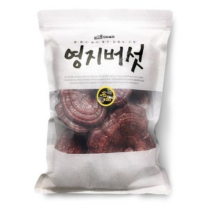 단비농산 국산 영지버섯 (강원도 고성 국산100%) 지퍼백포장, 500g, 1개