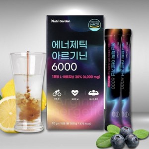 뉴트리가든 에너제틱 아르기닌 6000 20gx15포, 300g, 1개