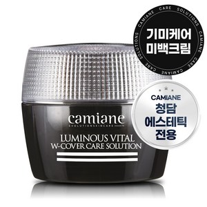 청담 스파 카미안느 시그니처 기미크림, 50g, 1개