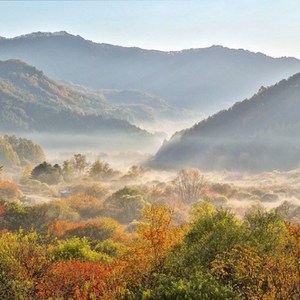 가브리손 텔무탈마, 1개, 3kg