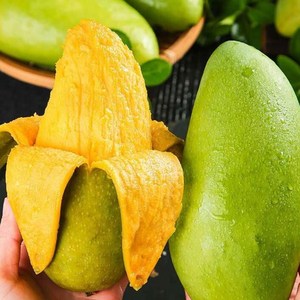 [백화점VIP용] 베트남대통령상 극상의맛 20bix 그린망고, 1박스, 2kg (5~6수)