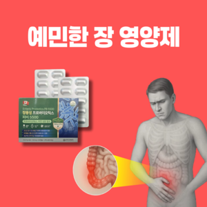[약국입점] 과민성대장증후군 좋은 영양제 장용성 프로바이오틱스 100억 IBS 유산균 약 비타민, 1박스, 60정