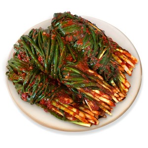 전라도 당일제조 파김치 / 깊은 감칠맛이 일품인 전통 전라도김치, 1kg, 1개