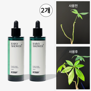 앰플형 고농축 식물영양제 - 레이니샤워, 2개, 100ml