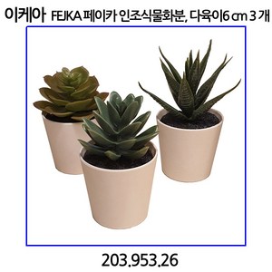 이케아 FEJKA 페이카 인조식물+화분 실내외겸용 다육식물 6 cm 3 개, 1개