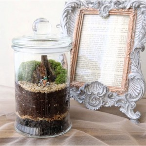 [DIY] 밀폐형 캔들 이끼 테라리움만들기 키트 공기정화, 1개