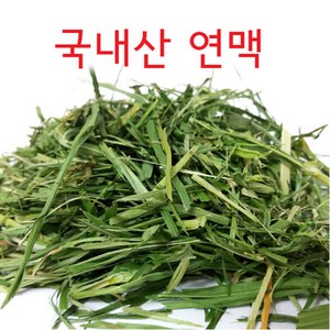 국산 연맥 200g / 토끼 기니피그 건초 간식, 1개