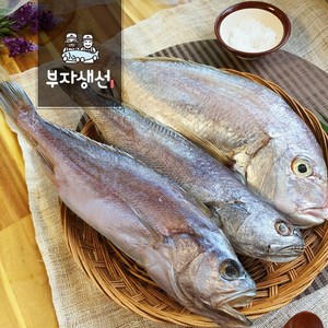 제수용생선 세트 반건조 침조기 참돔 참민어 세트(부산 망미중앙시장 부자생선), 침조기+참민어+참돔 대, 1세트