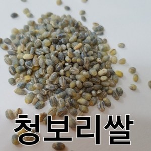 청보리쌀 청색보리쌀 청맥 24년산햇보리쌀, 1개, 1kg