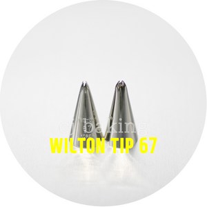 WILTON TIP 윌튼팁67