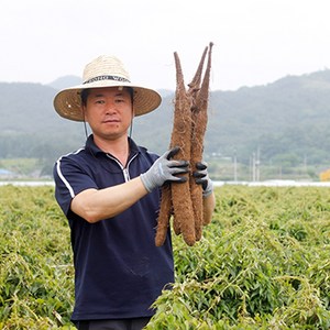 [필창농산] 산지직송 24년 안동 햇 장마 참마 산마 햇마 생마 [초실속] [알뜰/실속형] [단특품] [상품] [특품] 2kg 3kg 5kg 9kg, 1개, 장마 [단특품] 2kg