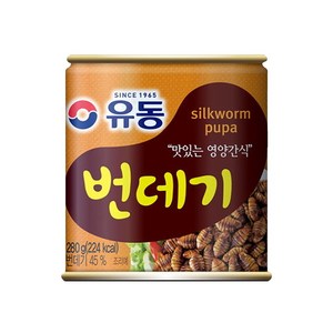 유동 번데기, 280g, 4개