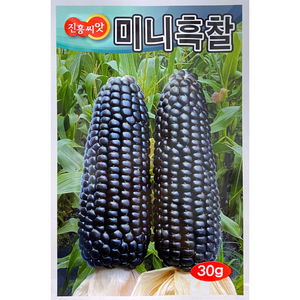 미니흑찰옥수수씨앗30g 크기는 작지만 맛은 최고인 미니흑찰옥수수, 1개