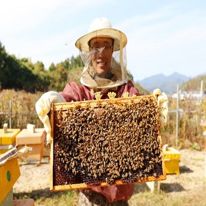 1년에 한번 생꿀 그대로! 100% 국내산 천연벌꿀 진짜꿀 그로스, 2.4kg, 용기/단지, 1개