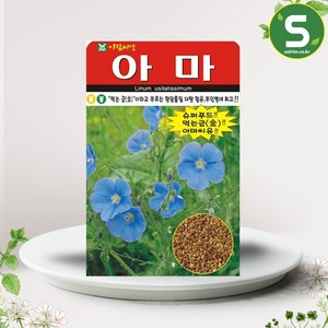 솔림텃밭몰 아마씨앗 300립 아마 항암물질 다량 함유 부인병효과, 1개