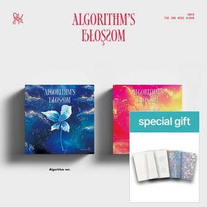 [특별사은품증정] QWER 앨범 알고리즘블라썸 미니2집 Algoithm's Blossom 2종세트 (포토북+포스트카드+CD 외) 내이름맑음