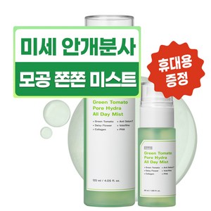 성분에디터 그린토마토 오로라 모공미스트 120ml+50ml 세트, 1세트, 170ml