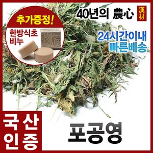 포공영 300g, 1개