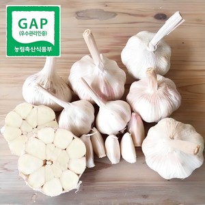 [GAP산지직송] 국산 마늘 햇 통마늘 안깐마늘 1kg 2kg, 1개, 1kg(특)