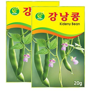 세인화분 강낭콩씨앗 20g 강낭콩 키우기 씨앗 씨, 2개