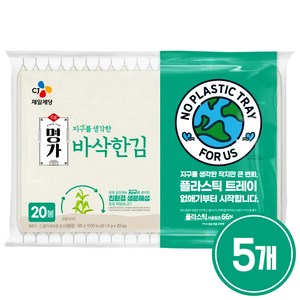 CJ 명가 지구를 생각한 바삭한김 4Gx20봉, 80g, 5세트