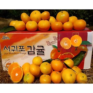 황금농원 서귀포 고당도 조생 귤 첫출하, 5kg[중대과(L-2L)], 1박스