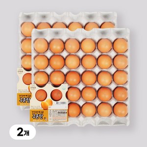 [YJ푸드] HACCP인증 100% 국내산 계란으로 만든 구운계란, 1개, 2100g, 60구