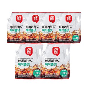 쟈뎅 Only Pice 아메리카노 헤이즐넛(2.1L) 액상커피 대용량, 2.1L, 6개