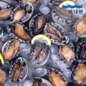 산지직송 완도 활전복 1kg (22-25미 내외) 싱싱한 전복, 1개, 상세 설명 참조