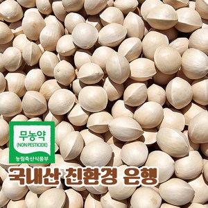 국산 피은행 은행 열매 중 사이즈 2kg, 1개