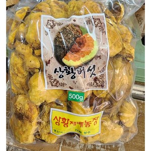 국내산 상황버섯 알뜰용 500g x 1개 (오늘출발), 500g(1개)