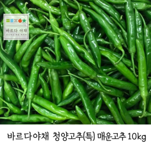 바르다야채 국내산 청양고추(특) 10kg-1박스(매운고추) (특)시세적용, 1개, 10