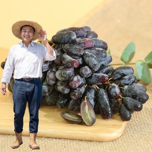 [항공직송]특품 프리미엄 블랙사파이어 포도 로얄과 씨없는 포도, 1박스, 특품 2kg