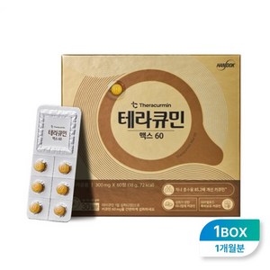 테라큐민 맥스 60 나노화 커큐민 정제 18g, 60정, 1개