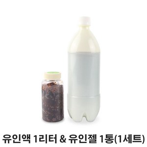 친환경 말벌유인액1L 유인젤1통 말벌포획기 말벌퇴치기 말벌유인제 말벌트랩