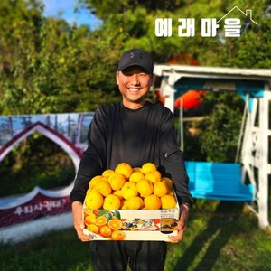 식탐대첩 예래마을 제주 서귀포 노지 감귤 5kg 대과, 1개