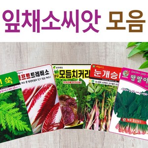 살아있는 씨앗 모음 채소씨앗 상추 쑥갓 궁채 유럽 치커리 루꼴라 치커리 청경채 시금치 파 양파 부추 도라지 곰취 더덕 곤드레 나물 내이 종자, A- 궁채나물, 1개