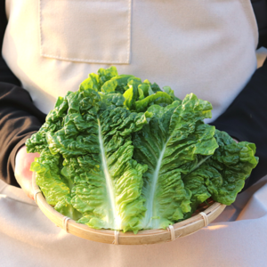 [농산물마루] 국내산 상추 청상추, 1박스, 1kg