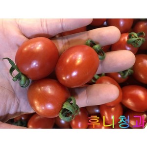 후니청과 신선한[특품] GAP 인증 대추방울 토마토1kg 2kg [국내산], 1개, 1kg(1,2등)