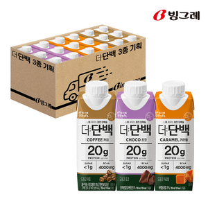 빙그레 더단백 드링크 프로틴음료 250ml 3종 기획, 1세트