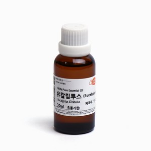 새로핸즈 천연 아로마 에센셜오일 유칼립투스오일 30ml, 단품, 1개