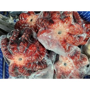 [수다모아]냉동 자숙문어 1마리(1kg 내외), 1마리