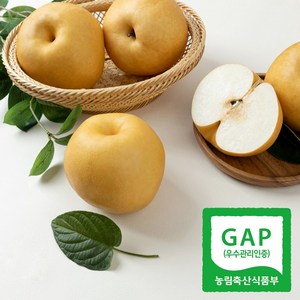 [달찐과일] GAP공식 당도선별 고당도 나주배 (나주 산지직송), 나주배 가정용 15kg (13-20과), 1박스