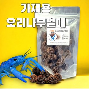 가재먹이 멸균 오리나무열매, 20개, 1g