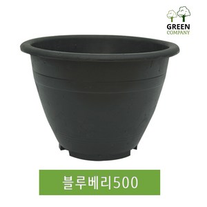 블루베리화분 500 대형화분 분갈이 텃밭 도로용 나무심기 옥상나무, 구멍 유(화분용), 블루베리420