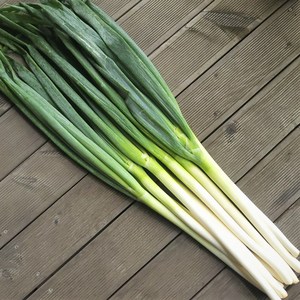 편리한 깐대파 수입 대파 손질대파 업소용 Sping Onion, 1개, 5kg